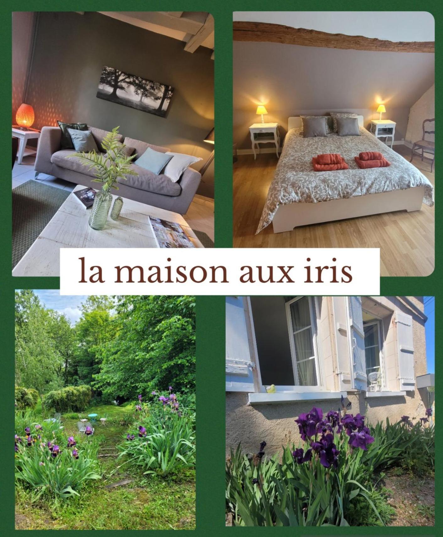 La Maison Aux Iris Pocé-sur-Cisse Esterno foto