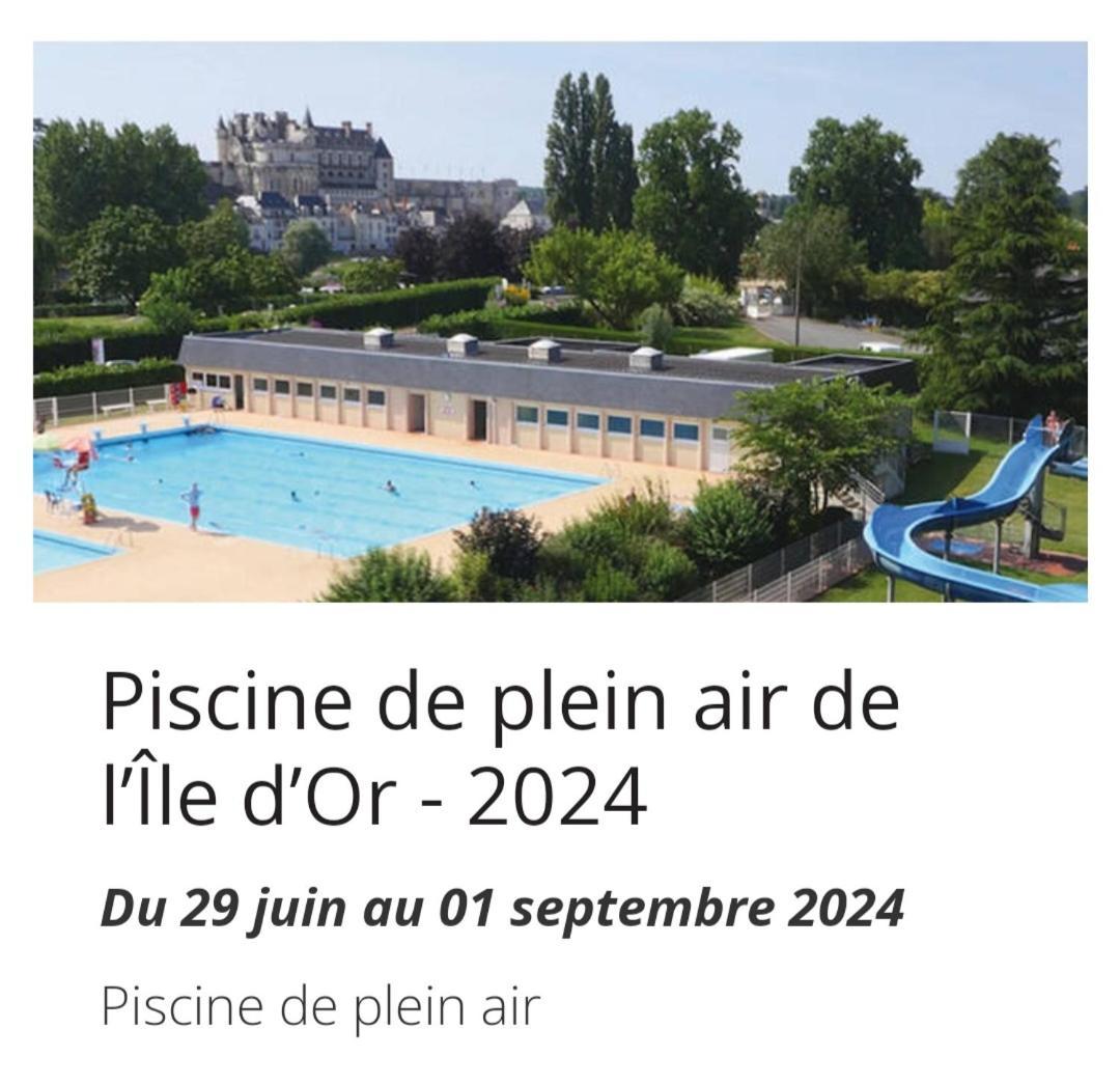 La Maison Aux Iris Pocé-sur-Cisse Esterno foto