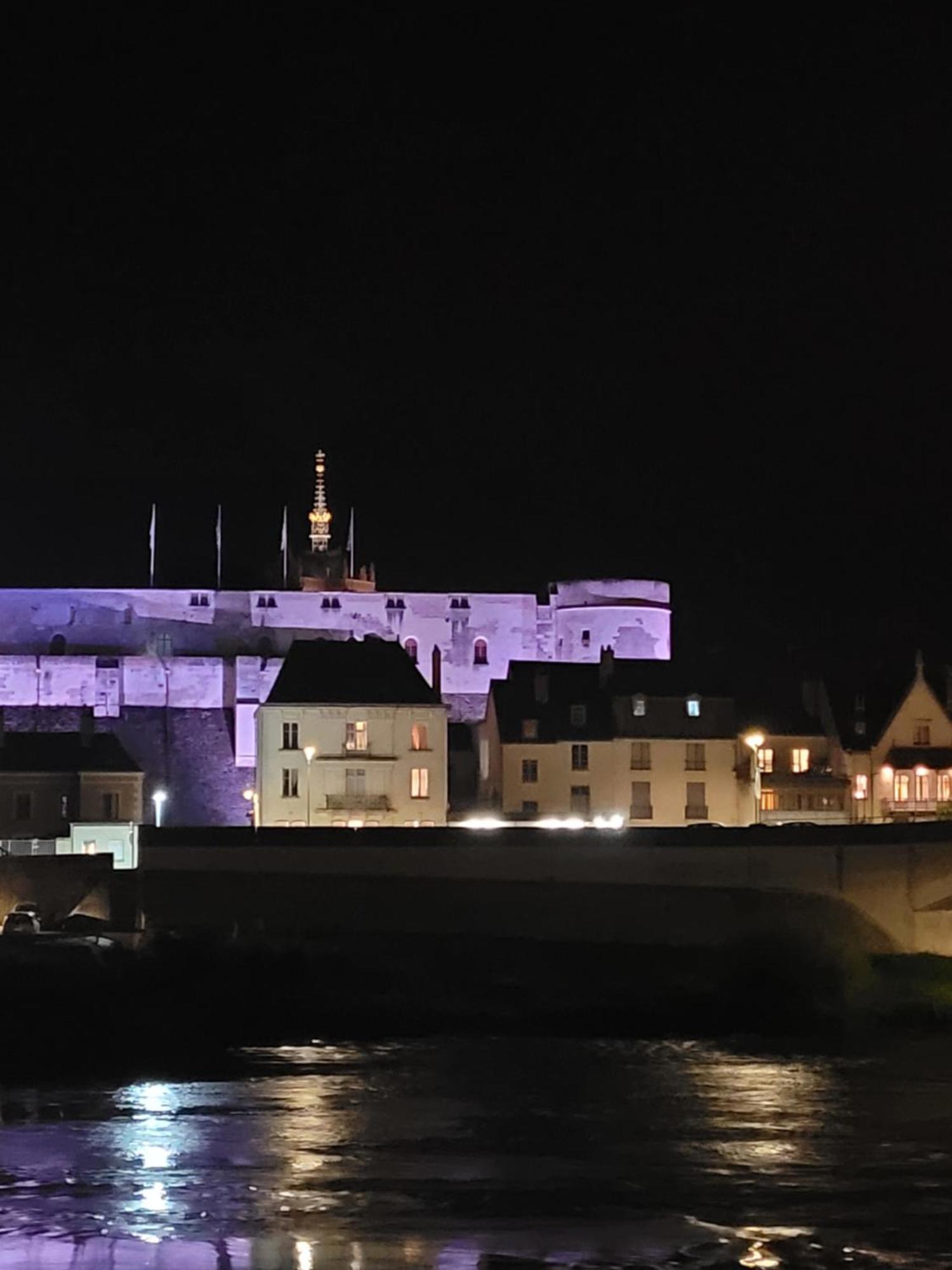 La Maison Aux Iris Pocé-sur-Cisse Esterno foto