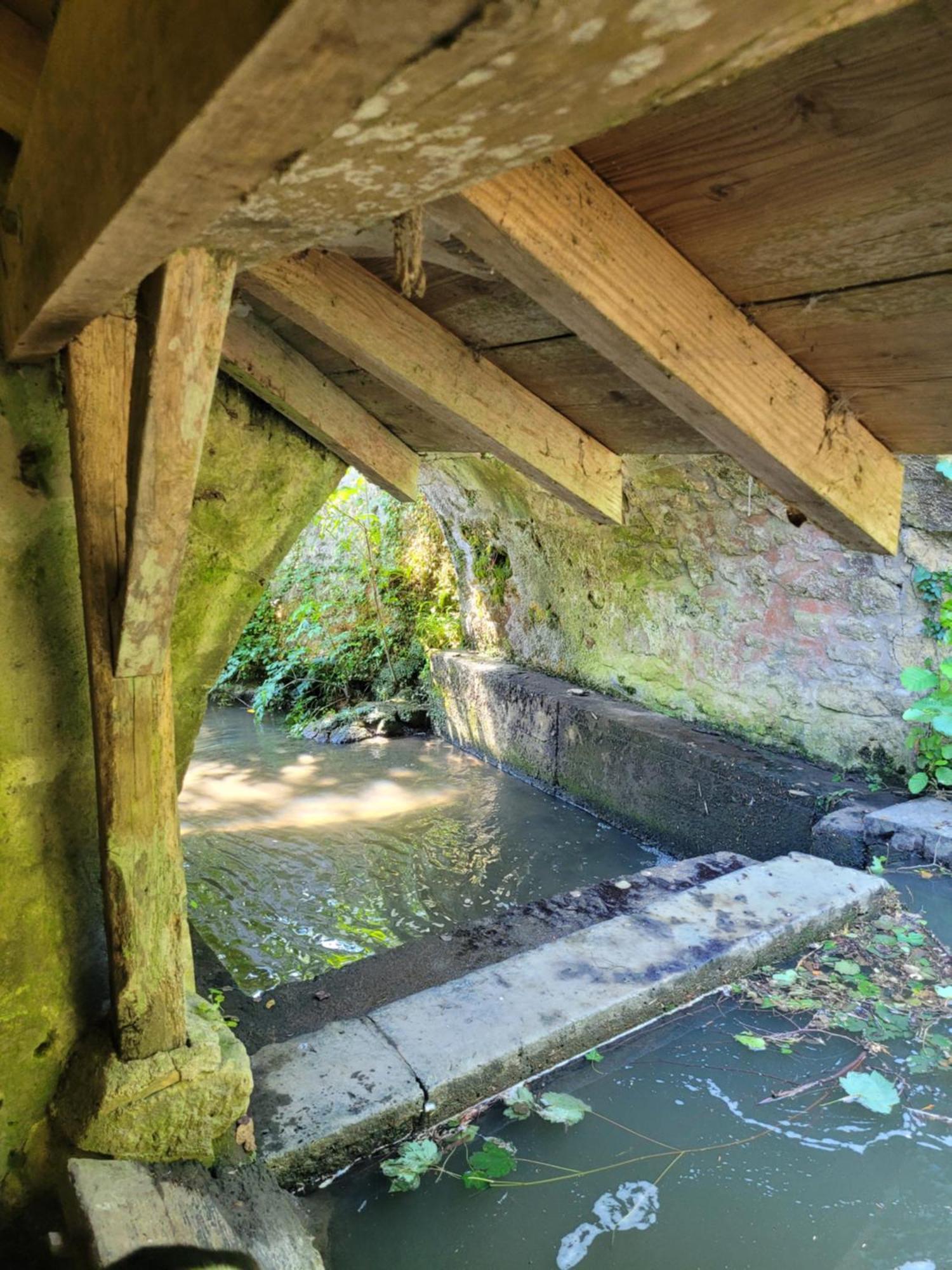 La Maison Aux Iris Pocé-sur-Cisse Esterno foto