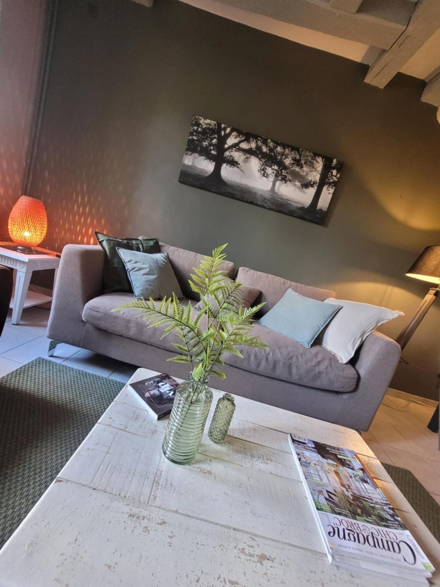 La Maison Aux Iris Pocé-sur-Cisse Esterno foto